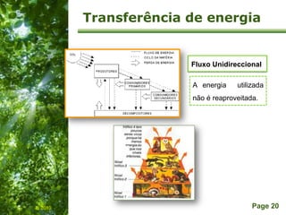 Free Powerpoint Templates
Page 20
Transferência de energia
IL 2010
A energia utilizada
não é reaproveitada.
Fluxo Unidireccional
 