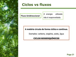 Free Powerpoint Templates
Page 21
Ciclos vs fluxos
IL 2010
A energia utilizada
não é reaproveitada.
Fluxo Unidireccional
A matéria circula de forma cíclica e contínua.
Exemplos: carbono, oxigénio, azoto, água
CICLOS BIOGEOQUÍMICOS
 