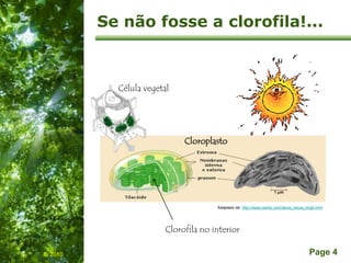 Free Powerpoint Templates
Page 4
Se não fosse a clorofila!...
Célula vegetal
Cloroplasto
Clorofila no interior
Adaptado de: http://www.cientic.com/tema_celula_img5.html
IL 2010
 