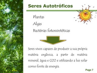 Free Powerpoint Templates
Page 7
Seres Autotróficos
Plantas
Algas
Bactérias fotossintéticas
IL 2010
Seres vivos capazes de produzir a sua própria
matéria orgânica, a partir de matéria
mineral, água e CO2 e utilizando a luz solar
como fonte de energia.
 