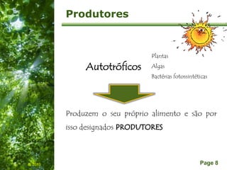 Free Powerpoint Templates
Page 8
Produtores
Plantas
Algas
Bactérias fotossintéticas
IL 2010
Produzem o seu próprio alimento e são por
isso designados PRODUTORES
Autotróficos
 