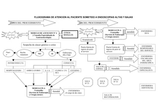 FLUXOGRAMA DE ATENCION AL PACIENTE SOMETIDO A ENDOSCOPIAS ALTAS Y BAJAS

   ANTES DEL PROCEDIMIENTO                                                              DIA DEL PROCEDIMIENTO


                                                                                                                              MODULO 55-A                       ENFERMERA
                          MODULO DE ATENCION Nº 4                   OTROS                         PACIENT                       -Ventanilla-        atendido
                                                                                                                                                                   JEFA
 PACIENT                   ( Consulta Especializada de              MODULOS                                               (Servicio de Endoscopia
                               Gastroenterologia)                                                                         y Cirugía menor)
                                                                                               Hospitalizado

                Sospecha de cáncer gástrico o colon
                                                                                                                                                                ENFERMER
                                                                                           Puerta Interna de               Puerta Externa de
                                                                                           ingreso de pctes                ingreso de pctes al      Atendid    RESPONSABLE
                                                                                           al servicio                     servicio                 o          DEL SERVICIO
Nuev        Recibe                                                 Endoscopia
o                                  NO                  SI
            tratamient                                             alta o baja
            o                                                                                                                                                   ENFERMERA
                                                                                                                               VESTIDOR          Atendido       ENCARGADA
                                                                                                                                                                 DEL AREA
 INTERCONSULTA                                                      CONSULTA                                                                                   ENDOSCOPICA

                                                                                                               SALA DE
                                                                                                               ESPERA            Atendido                      ENFERMERA
HOSPITALIZADO       AMBULATORIO             S. I. S.        CLINICA C/S     EXTERNO                                                                            ESPECIALISTA
                                                            HCL


                                                                                                                                    SALA
                                                                                                  SALA            SALA              Nº 53
                                                                                                  Nº 51           Nº 55
                                                                                                                                                                ENFERMERA
                             MODULO 55-A                                                                                                                        ASISTENCIAL
                               -Ventanilla-                               ENFERMERA
                         (Servicio de Endoscopia
                                                        Atendid
                                                                      (A cargo de dar citas)
                         y Cirugía menor)               o                                                                SALA DE
                                                                                                                         RECUPERACION
 