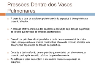 Circulação Pulmonar x Circulação SistêmicaAs paredes da artéria pulmonar e de seus ramos é muito fina e contem relativamente pouco músculo, sendo facilmente confundidas com veias. Na circulação sistêmica, as artérias apresentam paredes espessas e as arteríolas possuem quantidade abundante de músculo liso. 