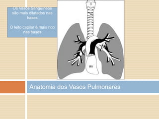 Anatomia dos Vasos PulmonaresOs Vasos Sanguíneos são mais dilatados nas basesO leito capilar é mais rico nas bases