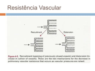 Resistência VascularEmbora a resistência vascular pulmonar normal seja extraordinariamente pequena, ela tem uma notável facilidade para se tornar ainda menor quando a pressão dentro de leito vascular aumenta. Um aumento, tanto na pressão pulmonar arterial quanto na venosa faz com que a resistência vascular pulmonar caia. Dois mecanismos são responsáveis ​​por esse fenômeno:Recrutamento: Abertura de vasospreviamentefechadosDistensão:  Aumento no calibre dos vasos. (predominante)