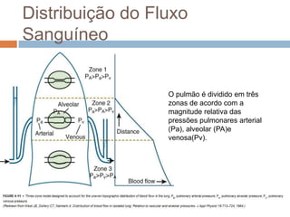 Resistência VascularDevido ao papel do músculo liso em determinar o calibre dos vasos extralveolares, as drogas que causam a contração muscular elevam a resistência vascular pulmonar: Exemplos: serotonina, a histamina e norepinefrina. Drogas que podem relaxar a musculatura lisa reduzem a resistência vascular: Exemplos: acetilcolina e isoproterenol.