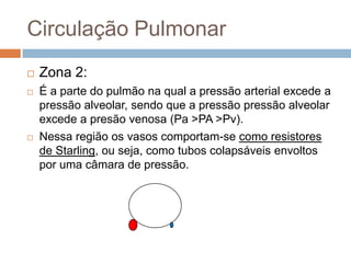 Circulação Pulmonar – Zonas PulmonaresZona 1:Ápice pulmonarAferiçõesrealizadasempulmõesisoladosmostrouquenãoháfluxosanguíneonaZona 1.Os capilarescolapsáveisfecham-se porque a pressãoexternaexcede a pressãointerna. PA > Pa > Pv