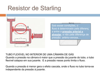 Circulação PulmonarZona 2:É a parte do pulmãonaqual a pressão arterial excede a pressão alveolar, sendoque a pressãopressão alveolar excede a presãovenosa (Pa >PA >Pv).Nessaregiãoosvasoscomportam-se comoresistores de Starling, ouseja, comotuboscolapsáveisenvoltosporumacâmara de pressão. 