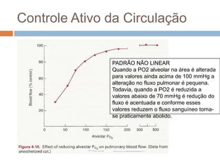 Controle Ativo da CirculaçãoObservamosquefatorespassivosdominam a resistência vascular e a distribuição do fluxosanguíneonacirculaçãopulmonar sob condiçõesnormais. Todavia, umanotávelrespostaativaocorrequando a PO2 do gás alveolar estáreduzida. Essefenômeno é conhecidocomovasoconstriçãohipôxicapulmonar e consistenacontraçãodamusculaturalisa das paredes das pequenasarteriolasnaregião sob hipóxia. Mecanismo do fenômeno é desconhecido.