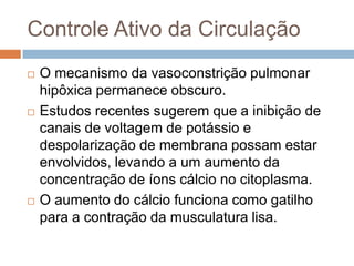 Controle Ativo da CirculaçãoPADRÃO NÃO LINEARQuando a PO2 alveolar na área é alterada para valores ainda acima de 100 mmHg a alteração no fluxo pulmonar é pequena. Todavia, quando a PO2 é reduzida a valores abaixo de 70 mmHg é redução do fluxo é acentuada e conforme esses valores reduzem o fluxo sanguíneo torna-se praticamente abolido. 