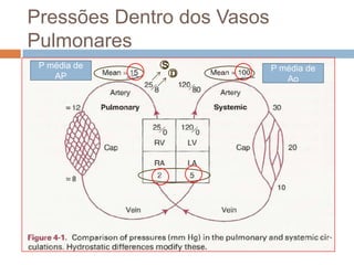 Pressões Dentro dos Vasos PulmonaresSP média de APP média de AoD