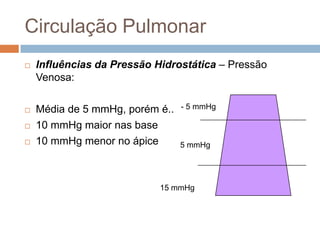 Circulação PulmonarInfluências da Pressão Hidrostática – Pressão Venosa:Média de 5 mmHg, porém é..10 mmHg maior nas base10 mmHg menor no ápice- 5 mmHg5 mmHg15 mmHg