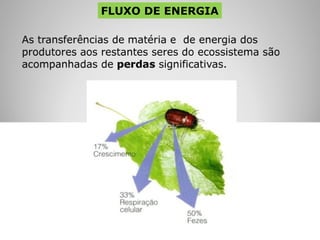 FLUXO DE ENERGIA 