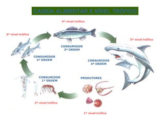 CADEIA ALIMENTAR E NÍVEL TRÓFICO 1º nível trófico 2º nível trófico 3º nível trófico 4º nível trófico 5º nível trófico PRODUTORES CONSUMIDOR 1ª ORDEM CONSUMIDOR 2ª ORDEM CONSUMIDOR 3ª ORDEM CONSUMIDOR 4ª ORDEM 