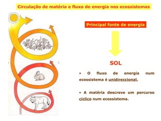 Circulação de matéria e fluxo de energia nos ecossistemas Principal fonte de energia SOL ,[object Object],[object Object]