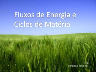 Fluxos de Energia e Ciclos de Matéria CN8 Professora Tânia Reis 