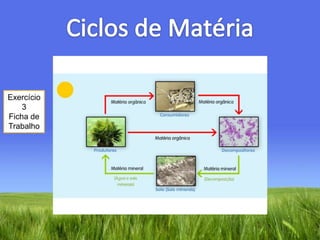 Ciclos de MatériaExercício 3Ficha de Trabalho
