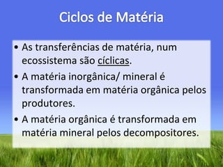 Ciclos de MatériaAs transferências de matéria, num ecossistema são cíclicas.A matéria inorgânica/ mineral é transformada em matéria orgânica pelos produtores.A matéria orgânica é transformada em matéria mineral pelos decompositores.