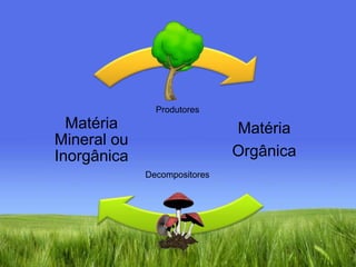 ProdutoresDecompositores