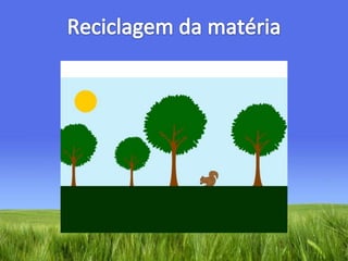 Reciclagem da matéria