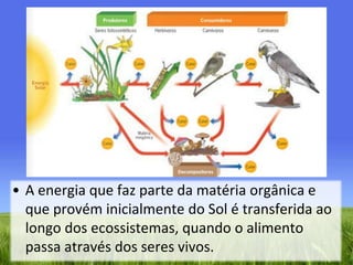 A energia que faz parte da matéria orgânica e que provém inicialmente do Sol é transferida ao longo dos ecossistemas, quando o alimento passa através dos seres vivos.