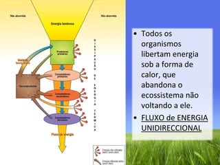 Todos os organismos libertam energia sob a forma de calor, que abandona o ecossistema não voltando a ele.FLUXO de ENERGIA UNIDIRECCIONAL