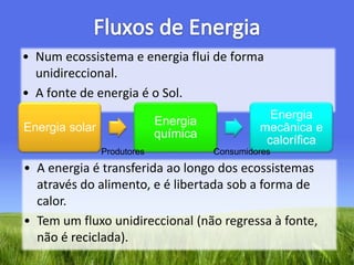 Fluxos de EnergiaNum ecossistema e energia flui de forma unidireccional.A fonte de energia é o Sol.ProdutoresConsumidoresA energia é transferida ao longo dos ecossistemas através do alimento, e é libertada sob a forma de calor.Tem um fluxo unidireccional (não regressa à fonte, não é reciclada).