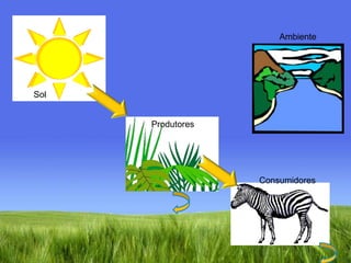 AmbienteSolProdutoresConsumidores