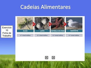Cadeias AlimentaresExercício 10Ficha de Trabalho