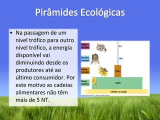 Pirâmides EcológicasNa passagem de um nível trófico para outro nível trófico, a energia disponível vai diminuindo desde os produtores até ao último consumidor. Por este motivo as cadeias alimentares não têm mais de 5 NT.