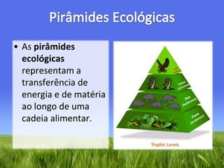 Pirâmides EcológicasAs pirâmides ecológicas representam a transferência de energia e de matéria ao longo de uma cadeia alimentar.