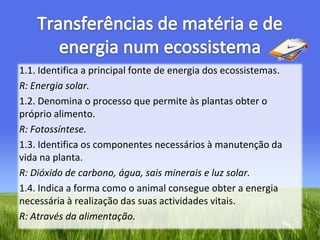 Transferências de matéria e de energia num ecossistema1.1. Identifica a principal fonte de energia dos ecossistemas.R: Energia solar.1.2. Denomina o processo que permite às plantas obter o próprio alimento.R: Fotossíntese. 1.3. Identifica os componentes necessários à manutenção da vida na planta.R: Dióxido de carbono, água, sais minerais e luz solar.1.4. Indica a forma como o animal consegue obter a energia necessária à realização das suas actividades vitais.R: Através da alimentação.