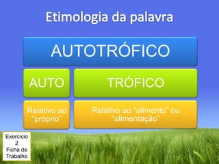 Etimologia da palavraExercício 2Ficha de Trabalho