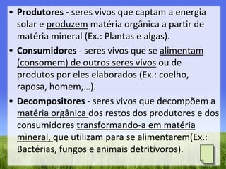 Produtores - seres vivos que captam a energia solar e produzem matéria orgânica a partir de matéria mineral (Ex.: Plantas e algas).Consumidores - seres vivos que se alimentam (consomem) de outros seres vivos ou de produtos por eles elaborados (Ex.: coelho, raposa, homem,…).Decompositores- seres vivos que decompõem a matéria orgânica dos restos dos produtores e dos consumidores transformando-a em matéria mineral, que utilizam para se alimentarem(Ex.: Bactérias, fungos e animais detritívoros).