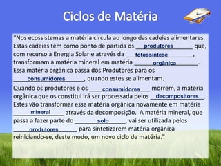 Fluxos de energia e ciclos de matéria
