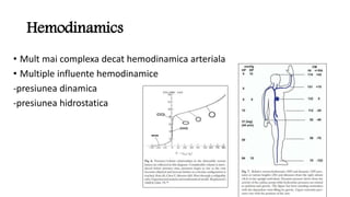 Hemodinamics
• Mult mai complexa decat hemodinamica arteriala
• Multiple influente hemodinamice
-presiunea dinamica
-presiunea hidrostatica
 