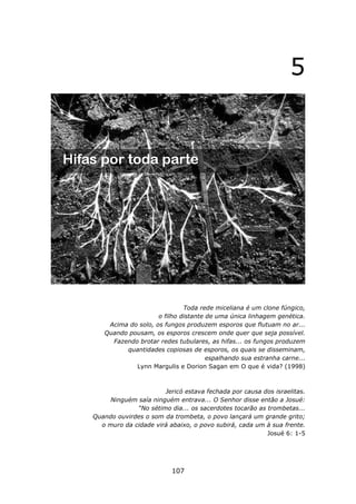 5




                             Toda rede miceliana é um clone fúngico,
                    o filho distante de uma única linhagem genética.
    Acima do solo, os fungos produzem esporos que flutuam no ar...
   Quando pousam, os esporos crescem onde quer que seja possível.
     Fazendo brotar redes tubulares, as hifas... os fungos produzem
         quantidades copiosas de esporos, os quais se disseminam,
                                     espalhando sua estranha carne...
            Lynn Margulis e Dorion Sagan em O que é vida? (1998)



                      Jericó estava fechada por causa dos israelitas.
     Ninguém saía ninguém entrava... O Senhor disse então a Josué:
             “No sétimo dia... os sacerdotes tocarão as trombetas...
Quando ouvirdes o som da trombeta, o povo lançará um grande grito;
  o muro da cidade virá abaixo, o povo subirá, cada um à sua frente.
                                                        Josué 6: 1-5




                         107
 