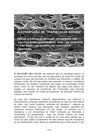 A derruição dos muros        não esperará que os sacerdotes toquem as
trombetas em Jericó (se bem que na saga bíblica de Josué foi o grito em
uníssono do povo que derrubou as muralhas que trancavam a cidade). De
qualquer modo, não há mais tempo para aprender a construir verdadeiras
membranas. Na verdade, membranas não podem ser construídas, stricto
sensu, como um ato voluntário de alguém que segue uma planta, um
projeto, um esquema. As membranas são “construídas” pela interação
biológica, elas surgem em função da autopoese: da produção contínua da
vida por ela mesma.

No caso das membranas celulares (plasmalemas), sua estrutura e
funcionamento complexos dependem da dinâmica de rede, de redes dentro
de redes, com canais protéicos (proteínas de transporte – espécies de
atalhos entre clusters) que atravessam suas camadas, passando por
numerosos arranjos moleculares (3) até chegar, na interface com o
citoplasma, a um emaranhado de “hifas” composto por filamentos e
microtúbulos de citoesqueleto... tudo isso fluindo (imerso em fluido
extracelular). E tudo isso com a função de ser uma porta seletiva que a
célula usa para captar os elementos do meio exterior que são necessários
ao seu metabolismo e para liberar as substâncias que a célula produz e que



                                   112
 