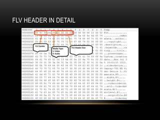 FLV HEADER IN DETAIL
 