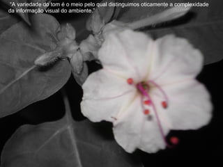 “ A variedade do tom é o meio pelo qual distinguimos oticamente a complexidade da informação visual do ambiente.” 