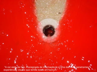 “ A cor está, de fato, impregnada de informação, e é uma das mais penetrantes experiências visuais que temos todos em comum.” 