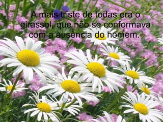 A mais triste de todas era o
girassol, que não se conformava
com a ausência do homem.

 