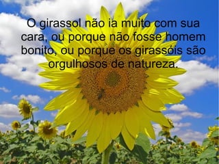 O girassol não ia muito com sua
cara, ou porque não fosse homem
bonito, ou porque os girassóis são
orgulhosos de natureza.

 