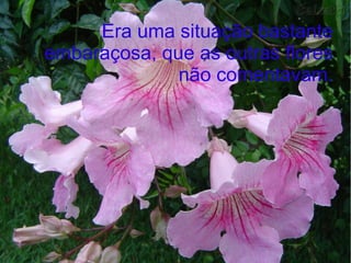 Era uma situação bastante
embaraçosa, que as outras flores
não comentavam.

 