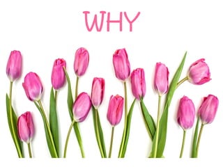 WHY ?