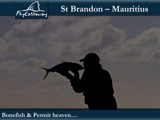 St Brandon – Mauritius




Bonefish & Permit heaven…
 