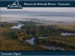 Mnyera & Ruhudji Rivers - Tanzania




Tanzania Tigers
 