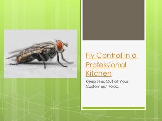Fly Control in a
Professional
Kitchen
Keep Flies Out of Your
Customers’ Food!

 