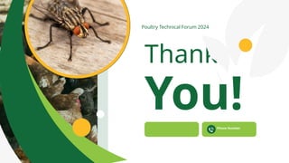 Fly Control Program Background Fly Control Program To Understand and Control Fly | PPTX