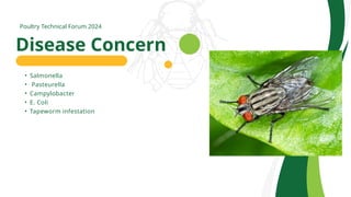 Fly Control Program Background Fly Control Program To Understand and Control Fly | PPTX